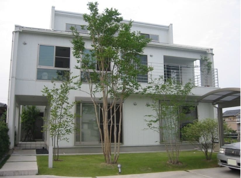 シンボルツリーのある芝庭