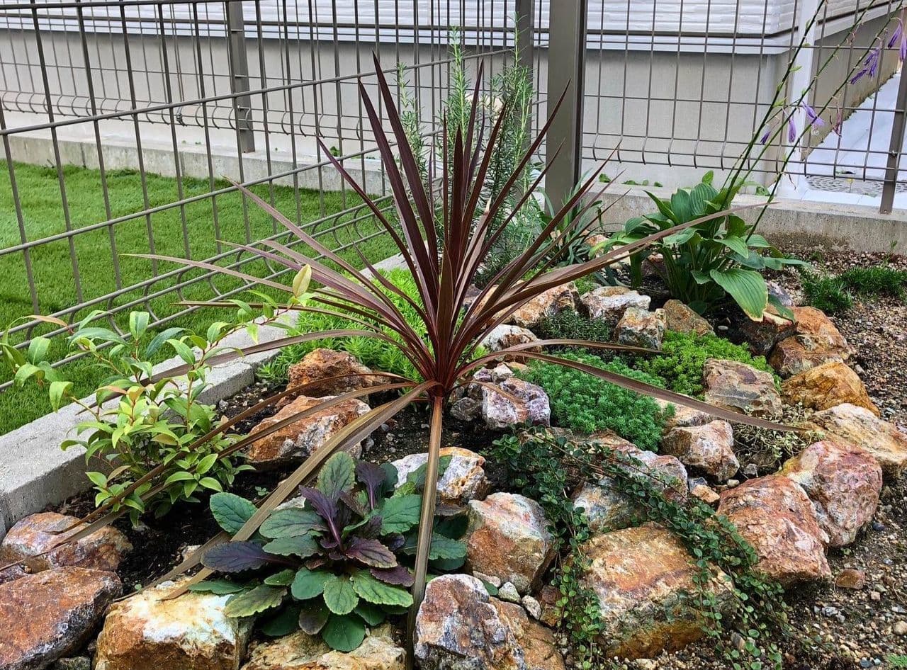 ロックガーデン